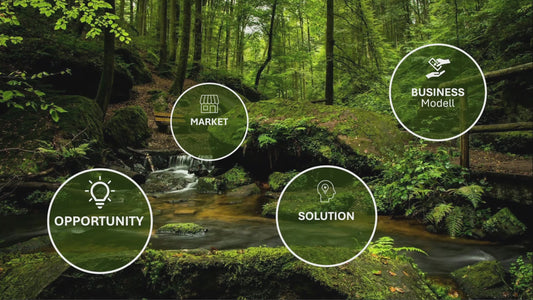 Animated zoom-presentation (4 Slides) - template